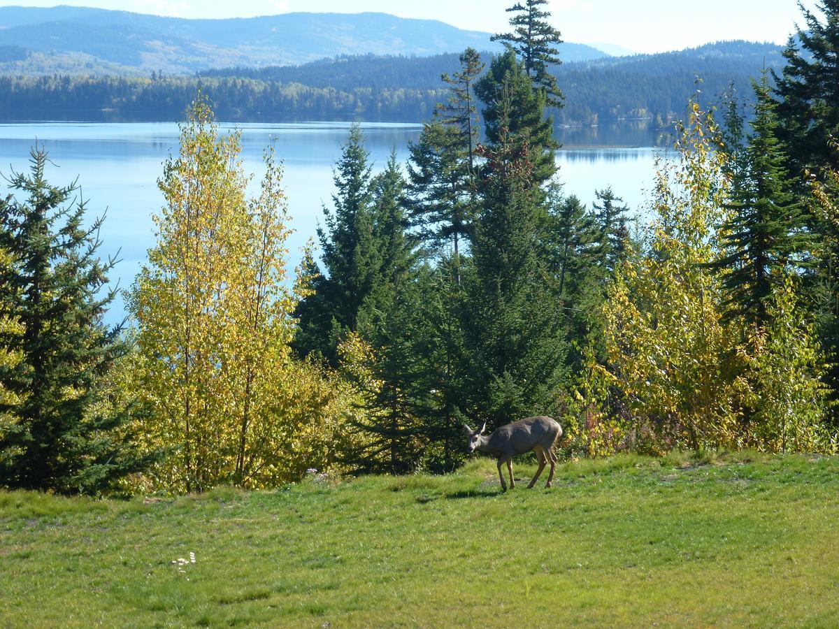 Little Black Bear Lodge/B&B Bridge Lake Екстер'єр фото