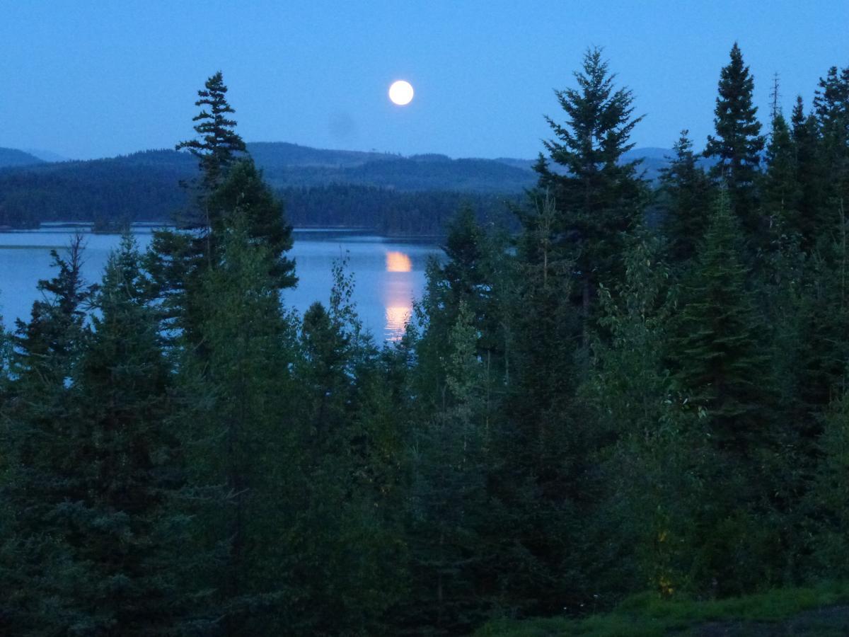 Little Black Bear Lodge/B&B Bridge Lake Екстер'єр фото