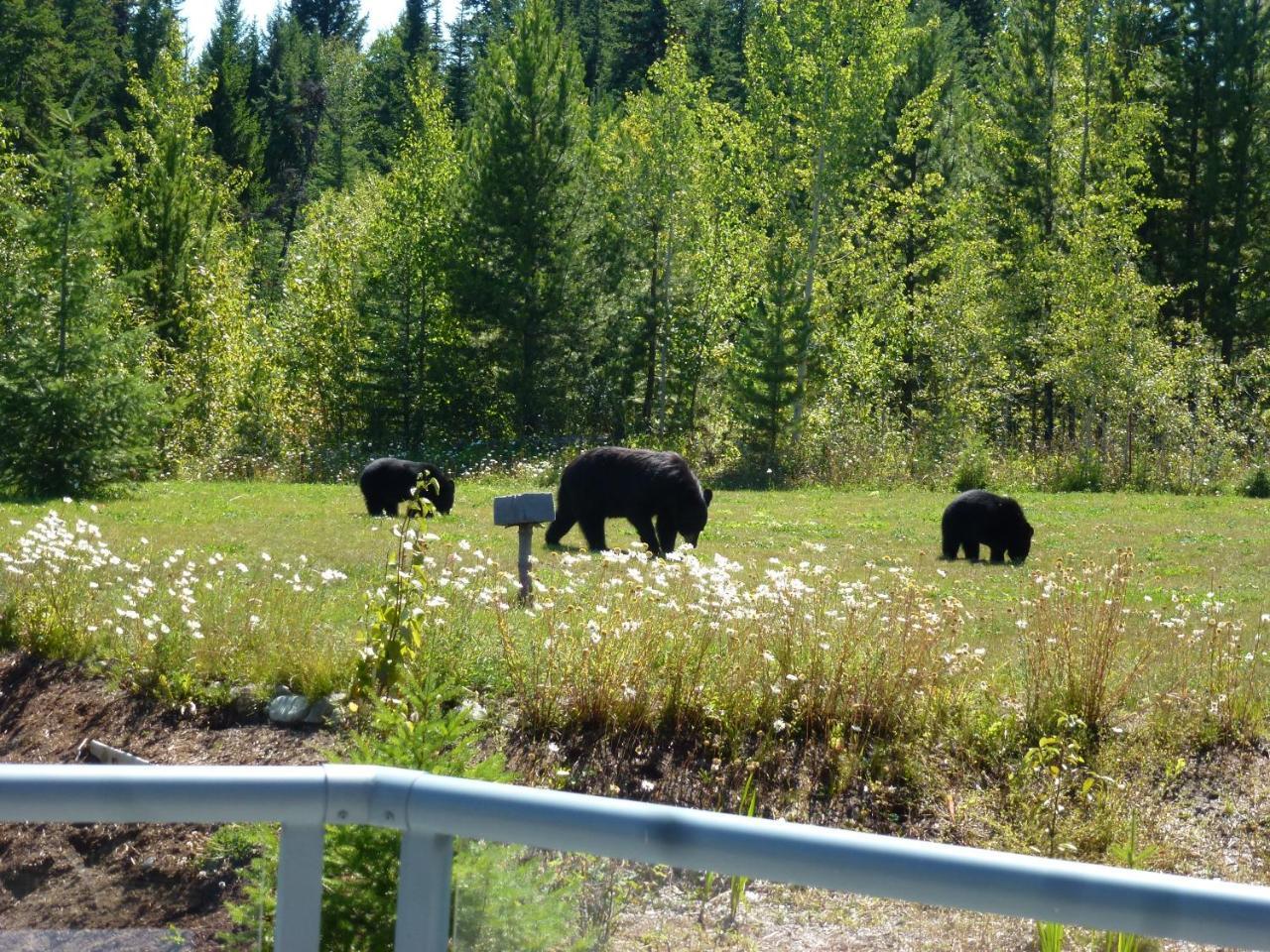 Little Black Bear Lodge/B&B Bridge Lake Екстер'єр фото
