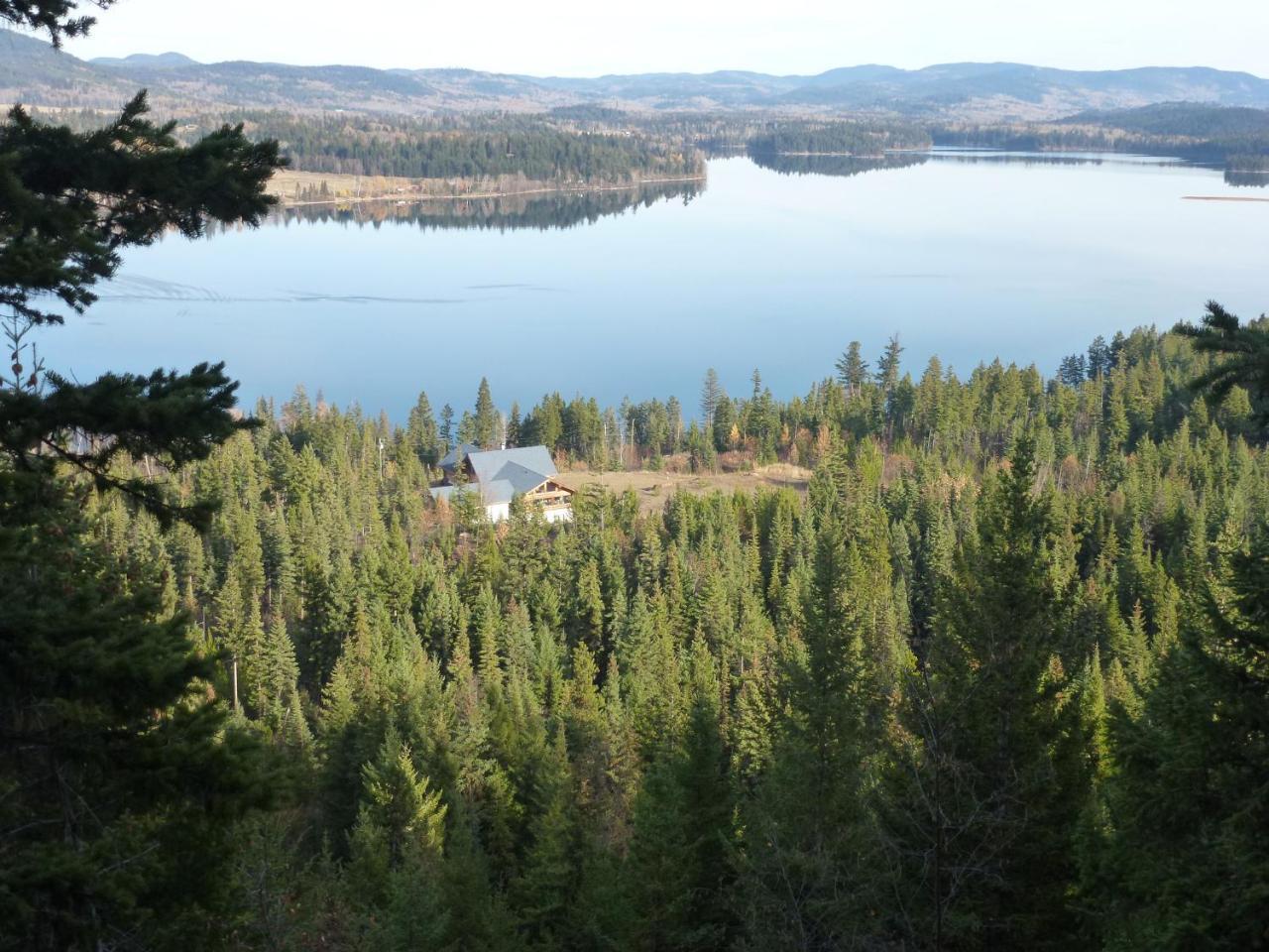 Little Black Bear Lodge/B&B Bridge Lake Екстер'єр фото